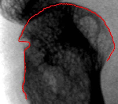 2004 05 17 14 31 52 706