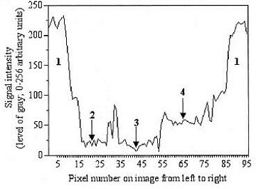 2004 06 29 14 36 26 706