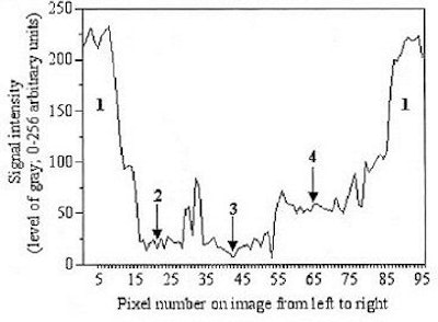 2004 06 29 14 36 26 706