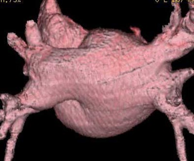 2004 07 16 13 16 43 706