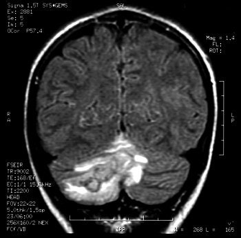 2004 07 16 14 15 54 706