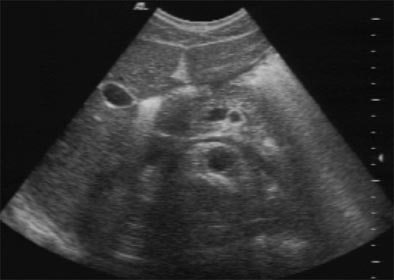 2004 07 22 14 48 05 706