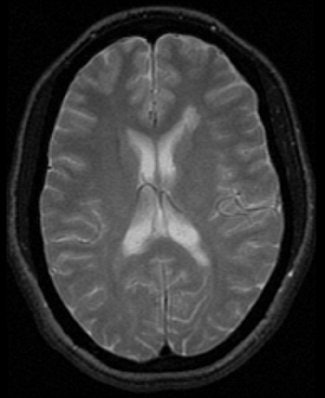 2004 08 10 15 11 32 706