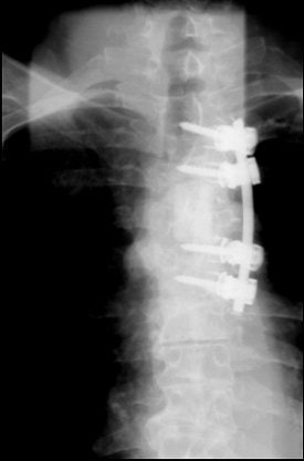 2004 08 16 10 51 16 706