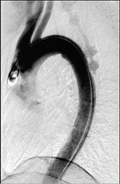 2004 08 16 11 05 58 706