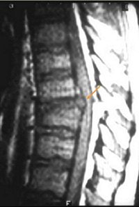 2004 08 16 11 10 58 706