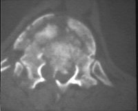 2004 08 16 11 13 06 706