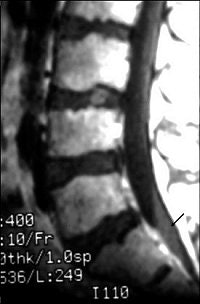 2004 08 16 11 14 41 706