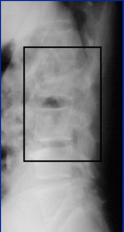 2004 08 17 10 40 53 706