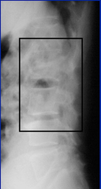 2004 08 17 10 40 53 706