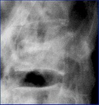 2004 08 17 10 44 11 706