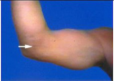 2004 08 18 12 31 27 706