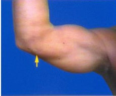 2004 08 18 12 34 03 706