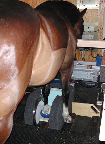 2004 08 20 15 26 34 706