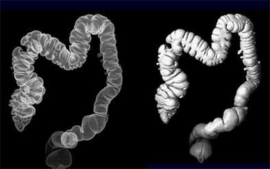 2004 08 20 15 27 08 706