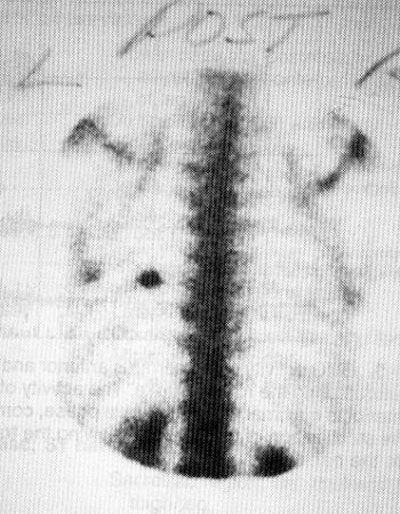 2004 08 20 15 45 54 706