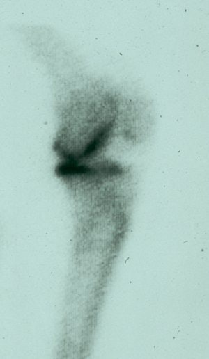 2004 08 23 17 08 48 706