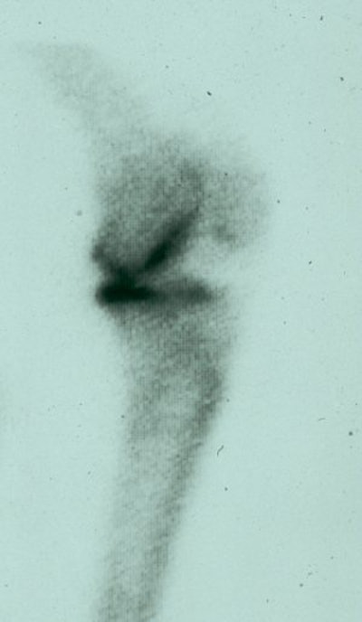 2004 08 23 17 08 48 706