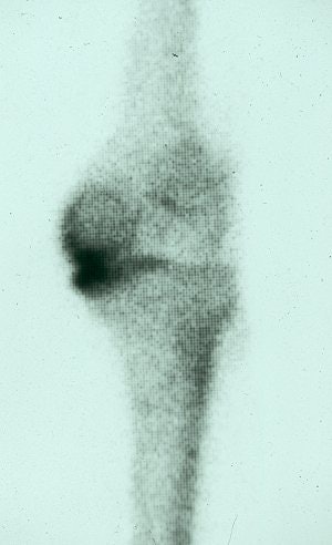 2004 08 23 17 09 18 706