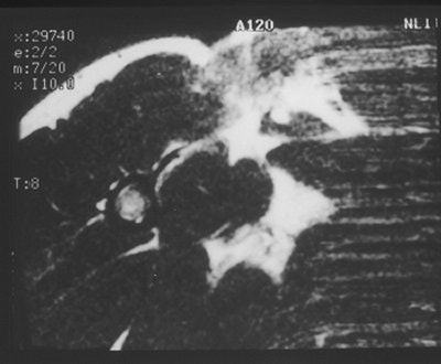 2004 08 24 13 37 48 706