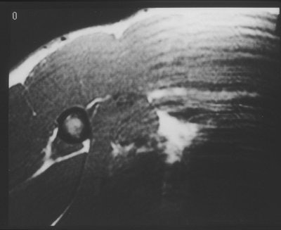 2004 08 24 13 38 18 706