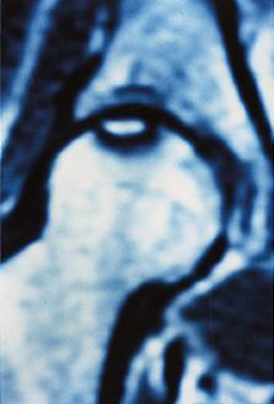 2004 08 25 11 48 04 706