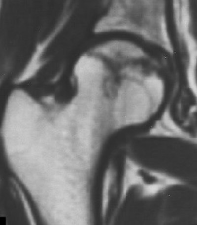 2004 08 25 11 48 46 706