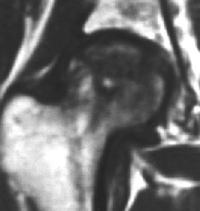 2004 08 25 11 49 17 706