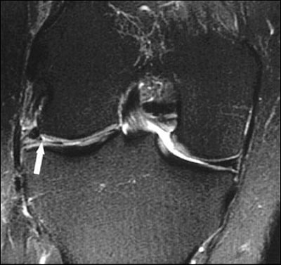 2004 08 27 11 38 36 706