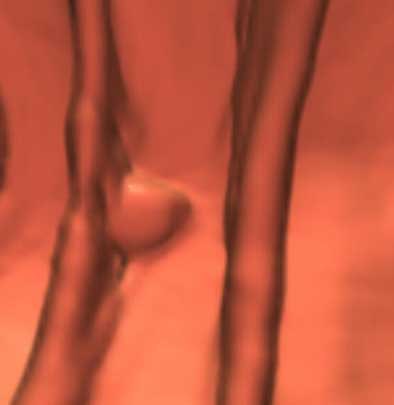 2004 09 07 15 20 14 706