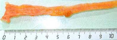 2004 10 01 13 58 26 706