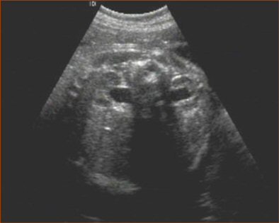 2004 10 25 11 34 43 706