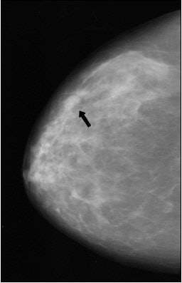 2004 10 25 15 50 03 706