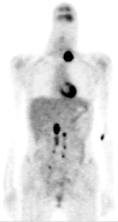 2004 11 12 11 36 05 706