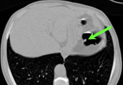 2004 11 22 15 44 45 706