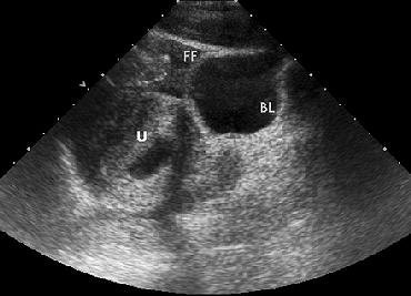 2004 12 14 12 14 36 706