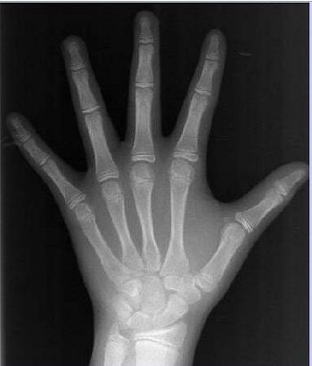 2004 12 27 15 14 35 706