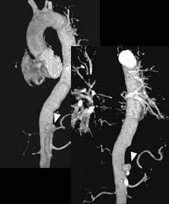 2004 12 29 16 06 35 706