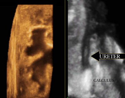 2005 01 10 10 55 41 706