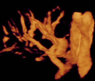 2005 01 10 10 56 39 706