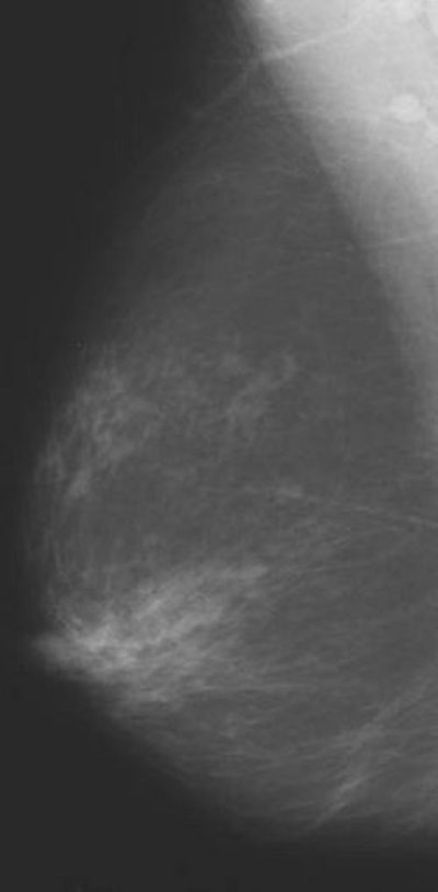 2005 01 12 16 02 53 706