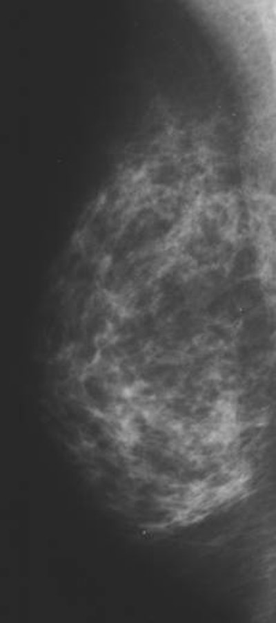 2005 01 12 16 03 15 706