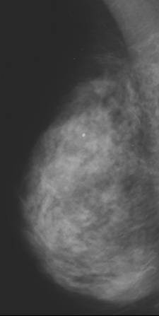 2005 01 12 16 03 48 706