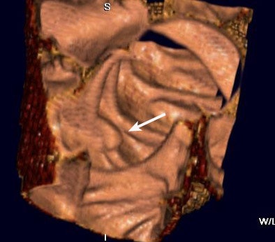 2005 01 14 12 51 59 706