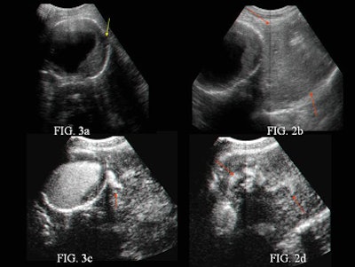 2005 01 20 16 44 27 706