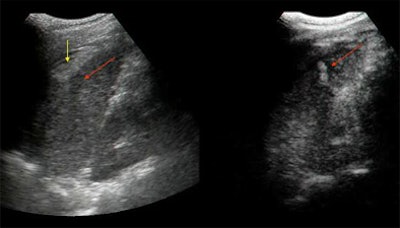 2005 01 20 16 44 45 706