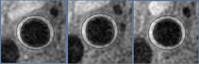 2005 02 02 15 52 46 706