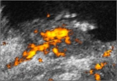 2005 02 07 11 36 29 706