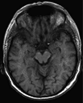 2005 02 09 15 19 46 706