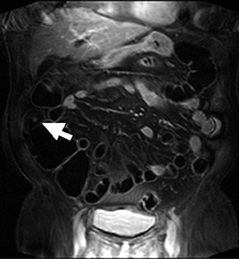 2005 02 09 15 20 06 706